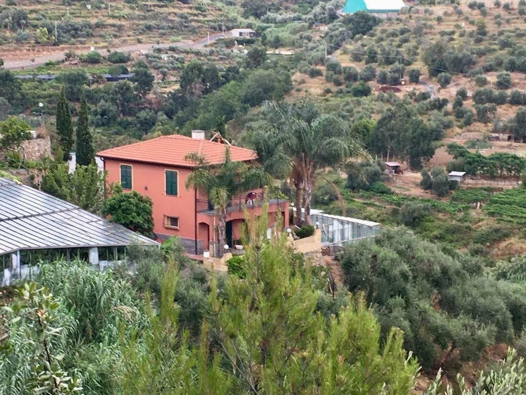 La Casa Del Podere Castellaro  Exterior photo