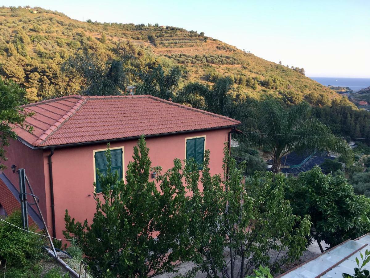 La Casa Del Podere Castellaro  Exterior photo
